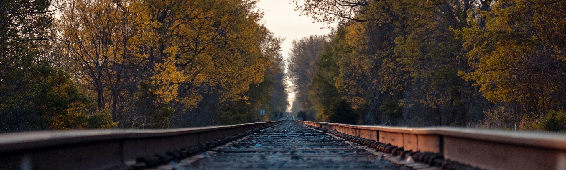 r_d_smith_x7dH9RMb_Pw_unsplash.jpg_COL_07387